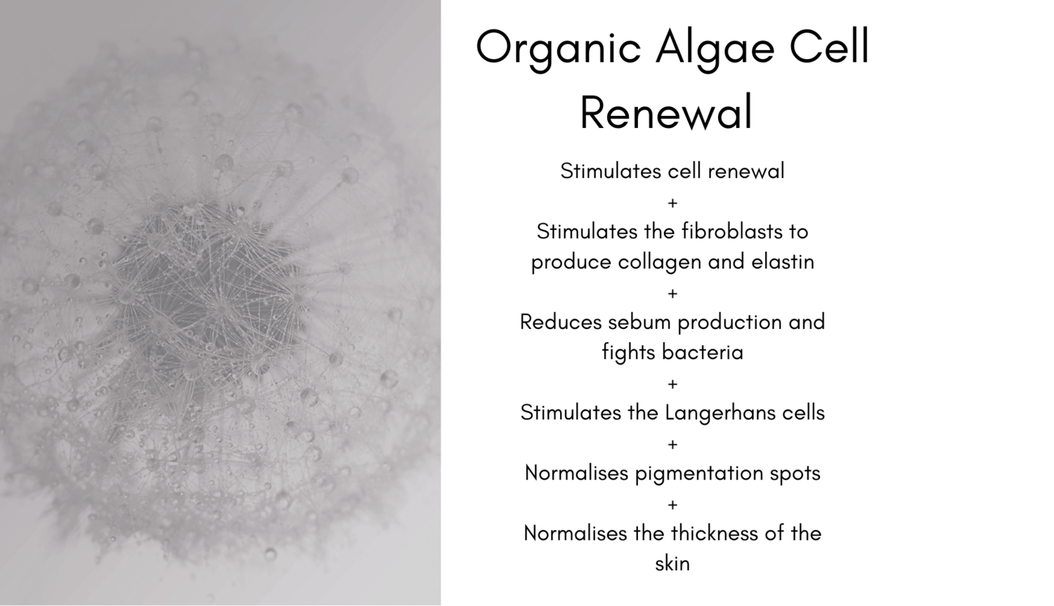 DÃ‰CAAR Algae Peel