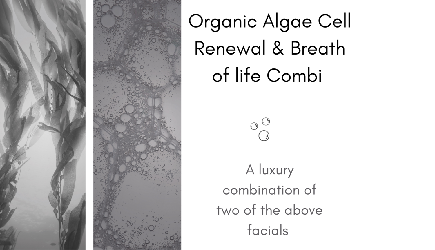DÃ‰CAAR Algae Peel