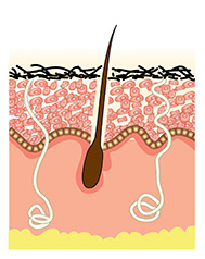 DÃ‰CAAR Algae Peel